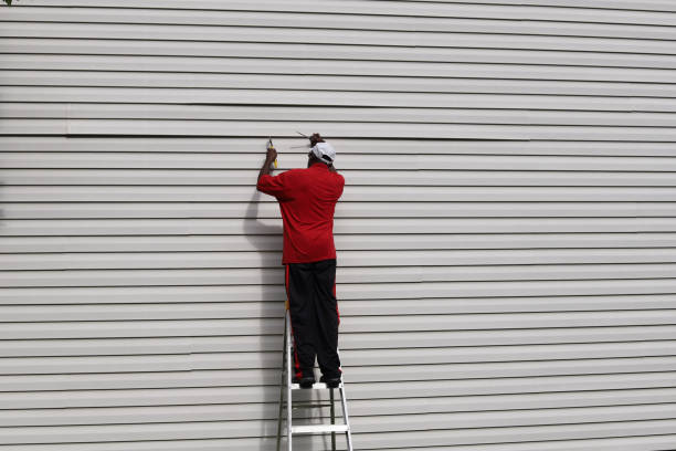 Professional Siding in Coal City, WV